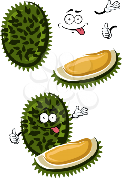 Funny cartoon exotic tropical durian fruit with dark green spiky peel and sweet yellow flesh. Healthy vegetarian dessert, recipe book or menu design usage 