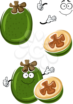 Ripe tropical feijoa fruit cartoon with green peel and sweet juicy flesh with seeds on the cut. Funny pineapple guava for recipe book, healthy dessert or vegetarian food design