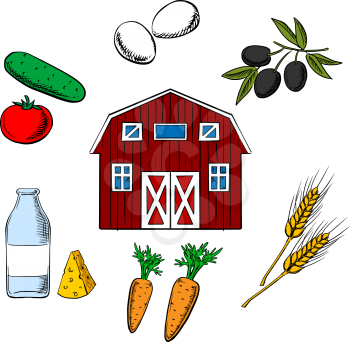 Farming food and agriculture objects arranged in a circle around a barn including tomato and olives, wheat and carrot, eggs and dairy products as cheese and milk