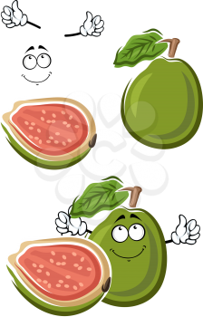 Cartoon tropical ripe green guava fruit with sweet pink pulp and seeds on the cut. Healthy vegetarian dessert menu, recipe book or juice design usage