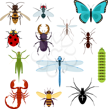 Colorful top view insects icons with bee, grasshopper, ant, fly, dragonfly and ladybird, spider and mosquito, caterpillar, stag beetle and scorpion. Isolated on white