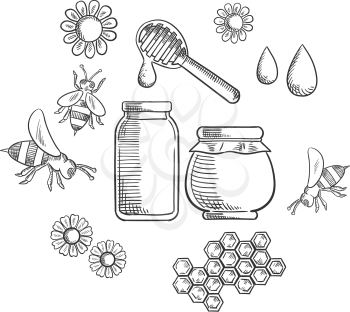 Beekeeping and fresh honey icons with flowers and bees, pollen, bottle and jar of dripping honey