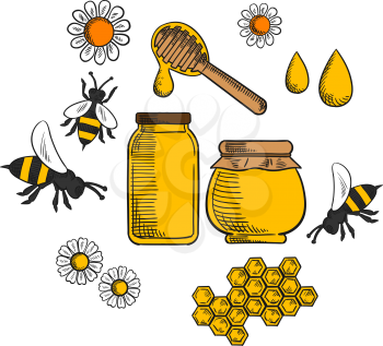 Beekeeping and farm honey sketched icons with flowers and bees, pollen, bottle and jar of dripping honey