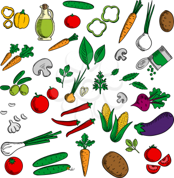 Farm vegetables and herbs sketched tomato and carrot, onion and cucumber, mushroom and potato, corn cob, chili and bell pepper, olives and eggplant,  beet and green pea, garlic and olive oil