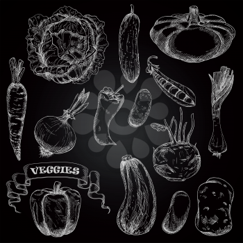 Sketches of farm vegetables on blackboard with cabbage and carrot, chilli and bell peppers, onion and potato, cucumber and  pea, beans, kohlrabi and leek, zucchini and pattypan squash