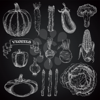 Chalk sketches of cabbage, broccoli and bell pepper, corn cob and eggplant, pumpkin and beet, garlic and asparagus, kohlrabi and pattypan, squash and daikon vegetables on chalkboard