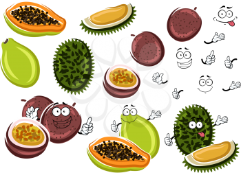 Cartoon aroma papaya, juice maracuja and smelly durian fruits. Exotic thai fruits characters for tropical dessert recipe or healthy food theme design 