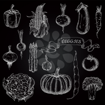 Pumpkin and tomato, onion and garlic, eggplant and bean, broccoli and beet, bell pepper and corn, asparagus and cauliflower, radish and daikon vegetables chalk sketches for  restaurant menu design
