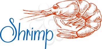 Red marine shrimp or prawn sketch in vintage engraving style. May be use in seafood menu or recipe book design