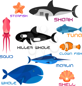 Colorful giant blue whale, killer whale and reef shark, striped orange clown fish, shiny marlin and tuna, pink squid, starfish and seashell. Cartoon ocean animals characters for marine or mascot, unde