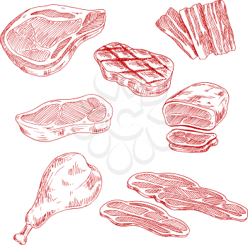 Farm-raised meat products sketches with beef steaks and tenderloin roast, bacon slices, grilled pork chop and chicken leg. Engraving sketches for old fashioned recipe book, cooking or restaurant grill