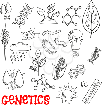 Agriculture and genetic technology sketch with symbols of corn, wheat and seedlings, models of DNA and molecules, plant cell structure, pests, chemical formulas, control of weather and temperature imp