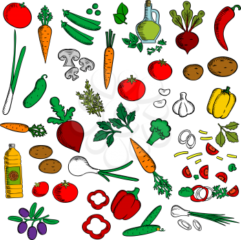 Colorful vegetarian salad ingredients icon with healthy fresh tomatoes, olives, green onions, carrots, mushrooms, garlic, peppers, potatoes, beets, sweet peas and cucumbers vegetables, sunflower and o
