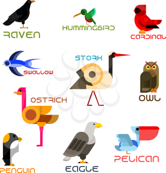 Owl, eagle, swallow, pelican, hummingbird, penguin, ostrich, raven, cardinal, stork colorful birds flat icons. Cartoon wild, forest, aquatic, tropical and urban birds for nature mascot, zoo symbol and