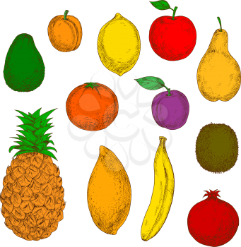 Freshly harvested flavorful pear, red apple, tropical banana, pineapple, orange, mango and lemon, sweet peach, plum, ripe avocado, pomegranate and kiwi fruits. Retro colored sketchy fruits for agricul