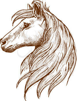 Wild horse head vintage engraving sketch symbol with profile of young stallion with long forelock and flowing curl of mane. Use as nature mascot or equestrian club symbol design