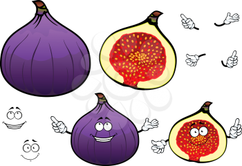 Whole and half of honey sweet fig fruit cartoon characters with cheerful smiling faces. Great for confectionery recipe, vegetarian dessert, agriculture design 