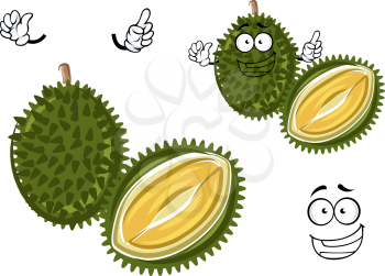 Chinese king of fruits durian cartoon character. Oriental fruit with overpower odour and funny spikes design for organic farming or vegetarian nutrition theme