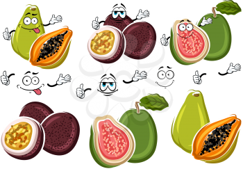 Cute cartoon tropical guava, flavorful papaya and purple passion fruit characters. Exotic fruits for fresh juice and cocktail menu or agriculture harvest design usage
