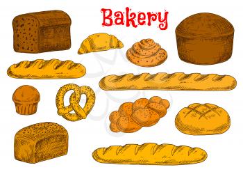 Fresh baked bread from rye, whole wheat and white flour sketch icons with french baguettes and long loaves, croissant, cinnamon rolls and cupcake, braided bun and pretzel, topped by poppy and sesame s