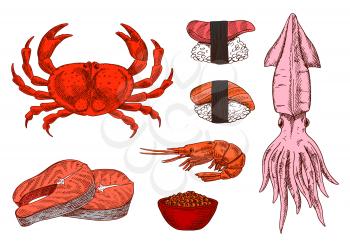 Colored sketched seafood symbols for mediterranean and oriental cuisine design with juicy salmon steaks and shrimp, sushi nigiri topped with marinated salmon and tuna, steamed crab, squid and salted r