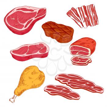 Fresh and grilled beef steaks, thin slices of bacon and prosciutto, baked beef tenderloin and turkey leg sketch icons. Nutritious and healthy meat products for grill bar or butcher shop design 