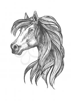 Sketched profile portrait of purebred horse of andalusian breed with head of beautiful adult mare. May be use as show jumping or dressage horse show symbol design