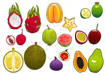 Freshly plucked bright yellow star fruit and pink litchi, soft and ripe passion fruit and feijoa, fig and papaya, juicy guava, dragon fruit and sweet durian fruits supplemented slices, showing seeds a