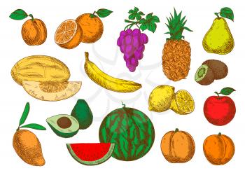 Sweet aroma mango, peaches and melon, banana, orange and apple, violet grapes, pineapple and lemon, pear, apricot and watermelon, avocado and kiwi fruits sketch symbols