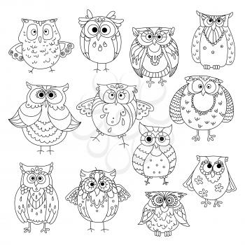 Decorative sketches of cute owls with young owlets, wise horned owls and funny barn owls, adorned by fluffy feather patterns, wavy lines and flowers. May be use as t-shirt print or wisdom symbol desig