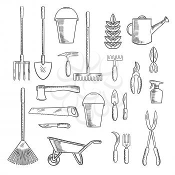 Watering can and plant with gardening hand tools sketches of rakes, shovel, axe and saw, spading fork, wheelbarrow and buckets, trowel, forks, knives and shears, pruners and sprayer