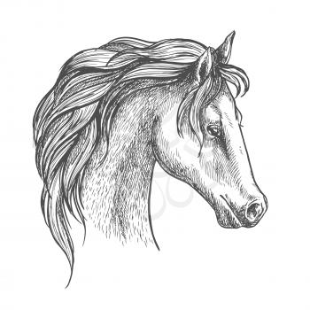 Arabian horse sketch with arched neck and curly long mane. Equestrian sporting symbol or horse racing theme design