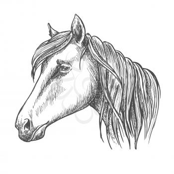 Riding horse head sketch with long mane. Horse racing, equestrian sport theme or t-shirt print design