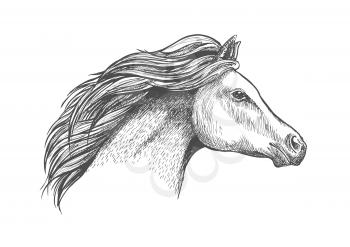 Racehorse mare head sketch with flowing curly mane. Horse racing badge or equestrian eventing symbol design