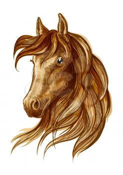Brown stallion horse head sketch with purebred arabian racehorse. Equestrian sporting theme, horse racing badge and t-shirt print design