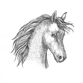 Sketched head of arabian horse symbol with long wavy mane. Equestrian sport or horse breeding themes design