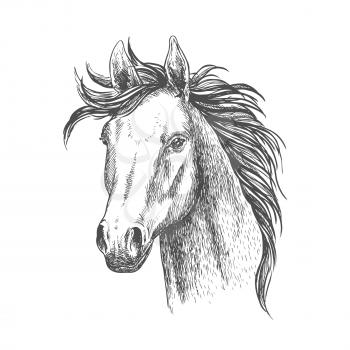 Mare horse sketch symbol. Equestrian sport, riding club, horse racing theme design
