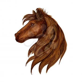 Horse head portrait. Brown stallion foal with mane and staring eyes