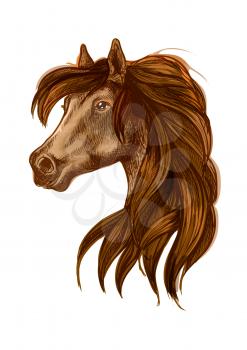 Brown horse head with long wavy mane. Gazing bay stallion. Beautiful pony portrait