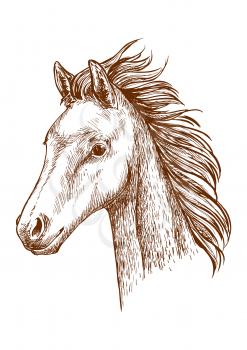 Mustang pencil sketch portrait. Brown horse with waving mane. Proud stallion with bold glance