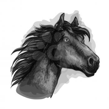 Horse looking ahead. Mustang head and neck portrait. Vector black running free strong stallion