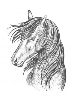 Horse pencil sketch portrait. Beautiful stallion or mare with shy look expression and waving mane. Vector line silhouette