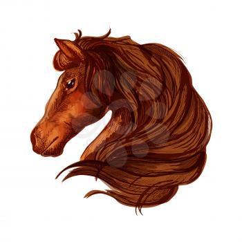 Horse with long wavy and long mane. Portrait of brown bay stallion with shiny eyes and kind glance