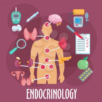 Endocrinology medical icon of human body with marked major internal organs and endocrine glands, pills and insulin injection, medical checkup form, glucose and blood pressure monitoring, healthy food 