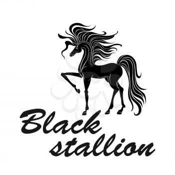 Black silhouette of american quarter stallion with well muscled body, thick mane and tail pawing foreleg. Great for tattoo or equestrian sport design