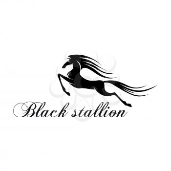 Silhouette of a horse jumping and flying above the text Black Stallion with beautiful long mane and tail. Sporting team mascot, tattoo or t-shirt print design