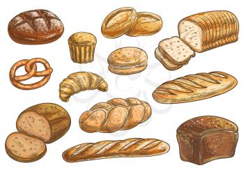 Bread sorts and bakery icons. Vector pencil sketch rye bread, ciabatta, wheat bread, muffin, bun, bagel, sliced bread, french baguette, croissant pretzel biscuit