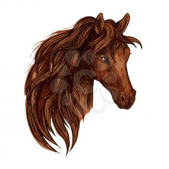 Horse with long wavy mane. Artistic portrait of beautiful brown stallion with shiny eyes and proud look