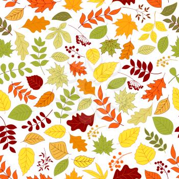 Colorful autumn leaves and berries seamless background. Wallpaper with vector pattern of trees and plants foliage oak, birch, maple, elm, poplar, aspen