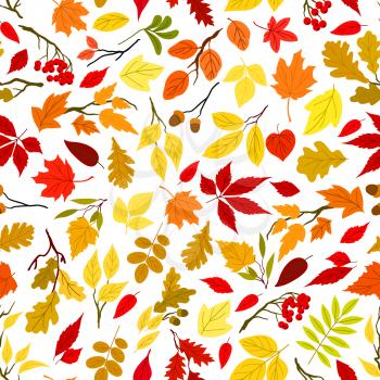 Colorful autumn leaves and berries seamless wallpaper. Background with vector pattern of foliage, acorn, oak, rowanberry, maple, elm, birch, aspen, rowan poplar